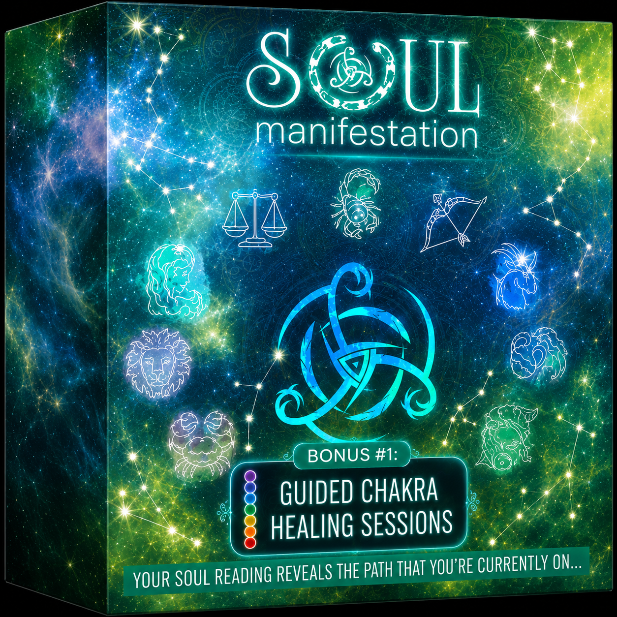 Guided Chakra Healing Sessions bonus included with Soul Manifestation